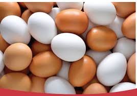 تازه ترین تخم مرغ صنعتی